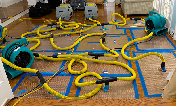 Professional Water Damage Restoration technician working in Corry, PA